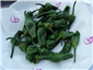 padron peppers