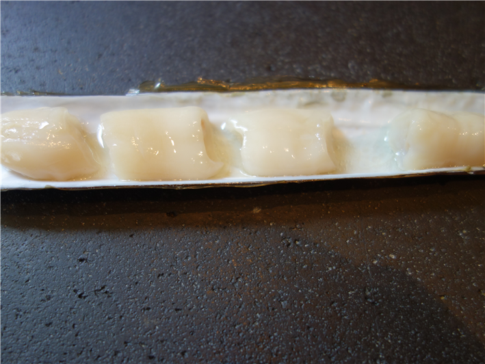 razor clam sashimi