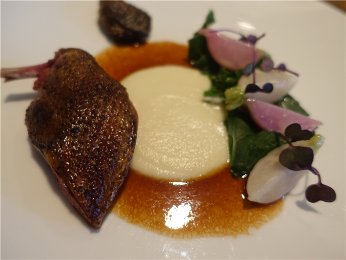 pigeon with radishes